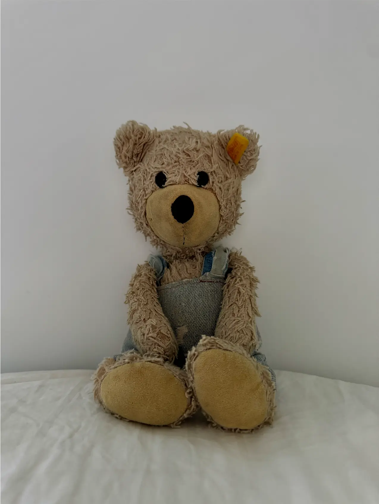 Rex the Teddy before the adventure