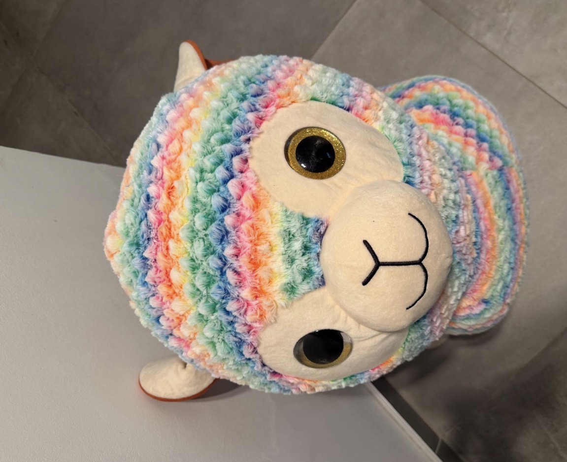 Stinki the Alpaca before the adventure